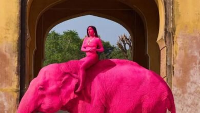 जयपुर में एक विदेशी फोटोशूट को लेकर बड़ा विवाद खड़ा हो गया है। मामला एक 65 वर्षीय हथिनी “चंचल” से जुड़ा है, जिसे गुलाबी रंग में रंगकर फोटोशूट किया गया था। अब पिछले महीने उसकी मौत के बाद यह सवाल उठने लगा है कि क्या इस रंगाई का उसकी मौत से कोई संबंध है। इस फोटोशूट को रूसी फोटोग्राफर Julia Buruleva ने अंजाम दिया था। उन्होंने एक मॉडल को हथिनी पर बैठाकर अनोखे अंदाज में तस्वीरें खींचीं, जो सोशल मीडिया पर वायरल हो गईं। जहां कुछ लोगों ने तस्वीरों की खूबसूरती की तारीफ की, वहीं बड़ी संख्या में यूजर्स और पर्यावरण कार्यकर्ताओं ने इसे जानवरों के प्रति क्रूरता बताया। हथिनी “चंचल” की मौत के बाद विवाद और गहरा गया। हालांकि, Jaipur Elephant Association और हाथी गांव विकास समिति ने स्पष्ट किया है कि उसकी मौत प्राकृतिक कारणों से हुई है। समिति के अध्यक्ष बल्लू खान के अनुसार, फोटोशूट में इस्तेमाल किया गया रंग गुलाल जैसा ऑर्गेनिक था, जिसे कुछ समय बाद हटा दिया गया था और इससे जानवर को कोई नुकसान नहीं हुआ। इसके बावजूद, कई लोगों ने हाथियों की संवेदनशील त्वचा का हवाला देते हुए इस तरह के प्रयोगों पर सवाल उठाए हैं। सोशल मीडिया पर यूजर्स का कहना है कि सिर्फ तस्वीरों को आकर्षक बनाने के लिए जानवरों को इस तरह रंगना गलत है, भले ही रंग ऑर्गेनिक ही क्यों न हो। कुछ लोगों ने सुझाव दिया कि ऐसे क्रिएटिव प्रोजेक्ट्स के लिए AI या डिजिटल एडिटिंग का इस्तेमाल किया जा सकता था। फोटोग्राफर जूलिया बुरुलेव ने सफाई देते हुए कहा कि उन्होंने राजस्थान की रंगीन संस्कृति से प्रेरित होकर यह कॉन्सेप्ट तैयार किया था। उनके मुताबिक, भारत में त्योहारों और आयोजनों में हाथियों को सजाने की परंपरा रही है, और इसी को ध्यान में रखते हुए उन्होंने यह शूट किया। उन्होंने यह भी दावा किया कि इस्तेमाल किया गया रंग पूरी तरह सुरक्षित और प्राकृतिक था। फिलहाल, यह मामला जानवरों के अधिकार, उनकी सुरक्षा और फोटोशूट जैसे व्यावसायिक उपयोगों को लेकर नई बहस छेड़ रहा है। सवाल यह है कि क्या परंपरा और कला के नाम पर जानवरों के साथ इस तरह का व्यवहार उचित है, या इसके लिए सख्त नियमों की जरूरत है।